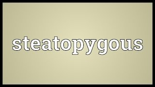 Steatopygous Meaning [upl. by Corsiglia]