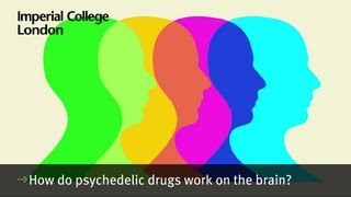 How do psychedelic drugs work on the brain [upl. by Yelsel130]