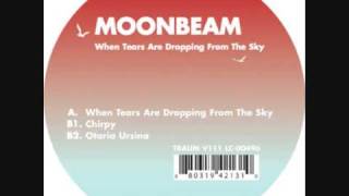 Moonbeam  Chirpy [upl. by Nnylirret917]