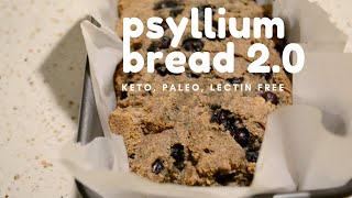 Blueberry PSYLLIUM HUSK BREAD Recipe  high fiber no carb keto paleo lectin free [upl. by Aciretahs788]