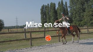 Améliorer sa position à cheval avec ses 3 exercices de mise en selle [upl. by Pavel]