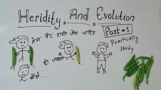 heridity and evolution class 10 part 1 GKP class 10 biology heredity and evolution explain in Hindi [upl. by Odnama]