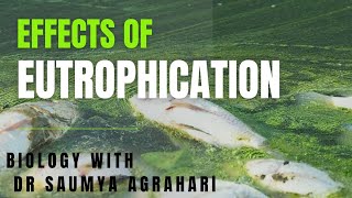 Effects of Eutrophication Biology NEET amp other exams neetneetbiology biology mbbs [upl. by Ruskin]