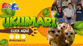 Bioparque Ukumarí  Cómo llegar tarifas con descuento recorrido completo y recomendaciones [upl. by Nuawtna]