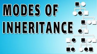 Autosomal Dominant Inheritance in Human Genetics [upl. by Bonny565]