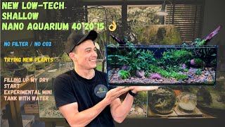 SHALLOW LOWTECH AQUARIUM  402015  NO FILTER  NO CO2 [upl. by Assirralc]