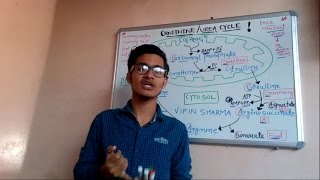 Trick to remember ornithineurea cycle for NEETAIIMS JIPMER IIT JAM BLBT  GATE  NETJRF [upl. by Mercedes]