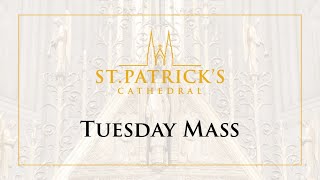 Tuesday Mass  July 7th 2020 [upl. by Edmund]