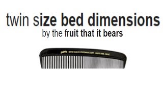 Twin Size Bed Dimensions Google autocomplete [upl. by Peg]