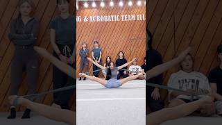 유연성 챌린지⁉️😱 Flexibility Challenge [upl. by Acinom603]