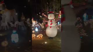 Buchanan Family Christmas Lights in Hiawassee Ga [upl. by Quarta]