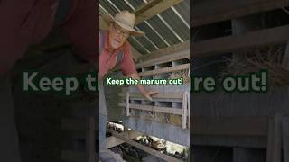 The Most Critical Nest Box Tip eggs chickens backyardchickens joelsalatin layinghens farming [upl. by Akienahs]