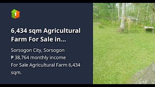 6434 sqm Agricultural Farm For Sale in Sorsogon City Sorsogon [upl. by Avalsorim]