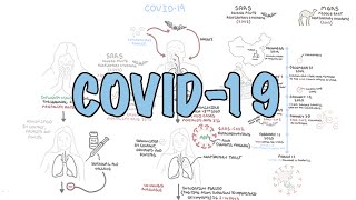 COVID19 a visual summary of the new coronavirus pandemic [upl. by Tarton]