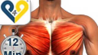 Chest Workout Home Version [upl. by Sheaff]