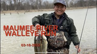 Maumee River Walleye Run 03182022 [upl. by Elyod]