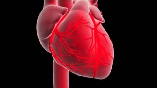 What is a myocardial infarction or heart attack [upl. by Ddart]