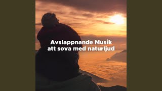 Lugnande Musik för Barn [upl. by Suiraj]