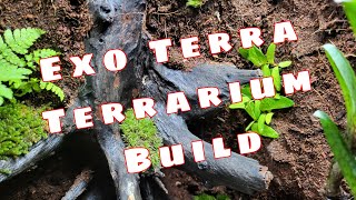 Exo Terra Terrarium step by step The Old Tree [upl. by Merilyn]