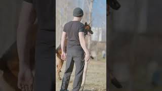 2Month German Shepherd Training Easy Tricks to Teach Your Dog [upl. by Carter]