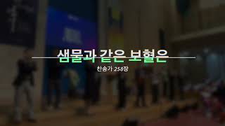 열린예배  그사랑얼마나  새롭게하소서  샘물과같은보혈은찬258  하나님의독생자찬171 산성찬양 주일콘티 [upl. by Theurich]