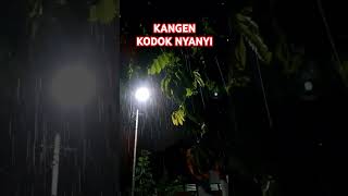 Saat hujan turun kodokkodokpun bernyanyi suasana seperti ini hanya ada didesadesa hujan rain [upl. by Floro]