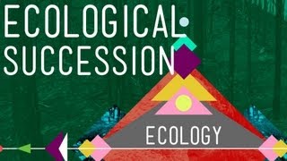 Ecological Succession Change is Good  Crash Course Ecology 6 [upl. by Zzabahs]