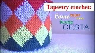 TAPESTRY crochet como tejer una bonita CESTA diestro [upl. by Botnick484]