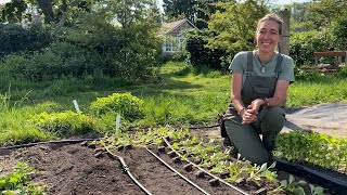 Floret Farm Tour Dahlia Seedling Patch [upl. by Leid]