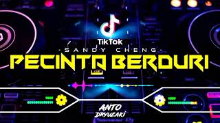 DJ PECINTA BERDURI  VIRAL TIKTOK‼️ FUNKOT VERSION [upl. by Aerbas]