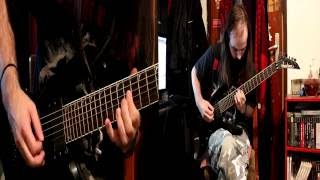 Impaled  Operating Theatre guitar cover [upl. by Nimref]