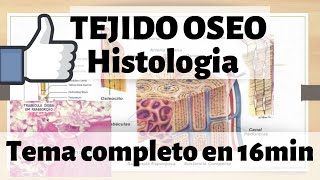 TEJIDO ÓSEO Histologia  hueso esponjoso y compacto MEJOR EXPLICADO [upl. by Streeter]