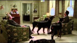 Dobermans in movie  16 part 2  Доберманы в кино [upl. by Nod]