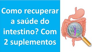 Como recuperar a saúde do seu intestino Com 2 suplementos  Dr Marco Menelau [upl. by Yehsa]