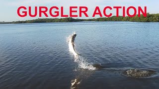 Tarpon Gurgler Action [upl. by Enoyrt]