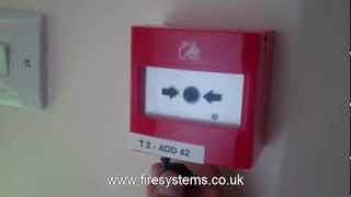 Fire Alarm Weekly Test  Fire Systems Ltd [upl. by Obaza]