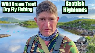 Wild Brown Trout Dry Fly Fishing  Still Water  Loch Fly Fishing fishing For Beginners [upl. by Lancaster]