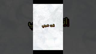 اغنيه دودو يا قمر يا ابو توته عريانه  محمد الريس  فيديو الاغنيه الاصلية كامله [upl. by Aryek76]