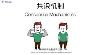 什么是共识机制 What is Consensus mechanism [upl. by Bartie]