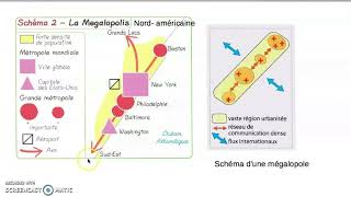 La métropolisation un processus mondial différencié Géo 1ere cours 3 [upl. by Nylrehc]