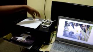 Demo amp Review  Photo Printing with Canon Pixma E510 [upl. by Rudolph45]