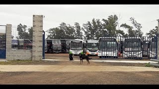 Venta de Omnibus en Autovía 14  Colón Entre Rios  cementerio colectivos [upl. by Edijabab]