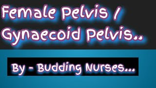 Female pelvis Gynaecoid pelvis  Pelvis  Practical Exams  Obstetrics [upl. by Sairu]