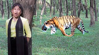 Tiger Attack Man in Forest  Royal Bengal Tiger Attack Sundarbans Fun Made Movie part 7 [upl. by Yetah469]