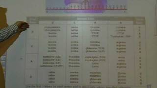 Marchand Biology  Reading a Codon Chart [upl. by Anoblav]