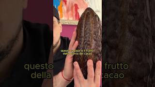 Ho deciso di provare a produrre il MIO CIOCCOLATO Parte 1 food shorts [upl. by Limak]