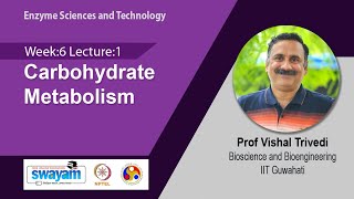 Lec 28 Carbohydrate Metabolism [upl. by Rillis937]