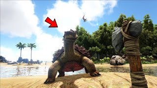 I Tamed A CARBONEMYS Dinosaur And This Happened  Ark Survival Evolved  Part 2 [upl. by Alphonsine325]