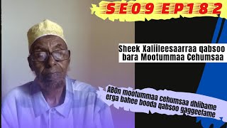 Sheek Xaliileessaa Wajjin Seenaa Qabsoo Bara Mootummaa Cehumsaa Gaggeefame  Kutaa 710 SE09EP182 [upl. by Ecilef]