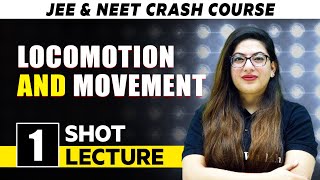 Locomotion and Movement  One Shot Lecture  CHAMPIONS  NEET CRASH COURSE 2022 [upl. by Wilser]